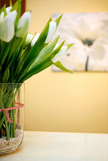 Fotostrecke Unternehmen - Tulpen
